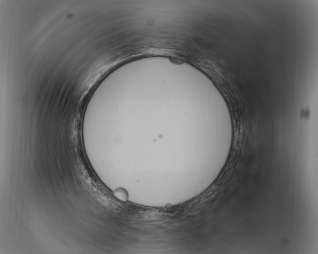 X0000116100098200912141006