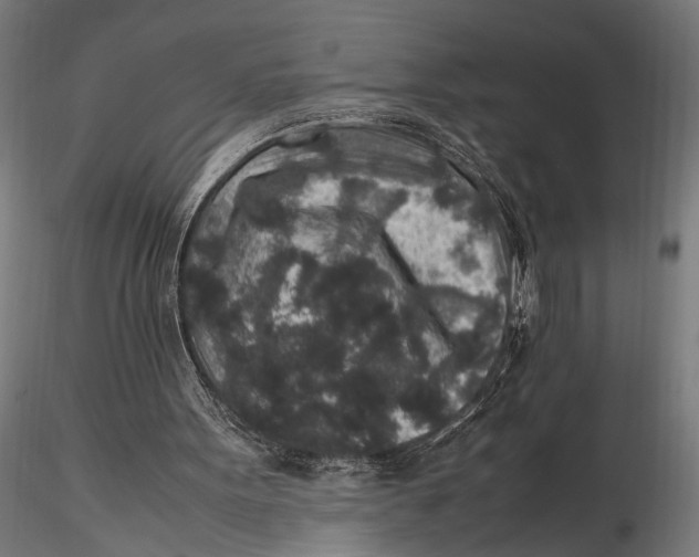 X0000116100099200912141006