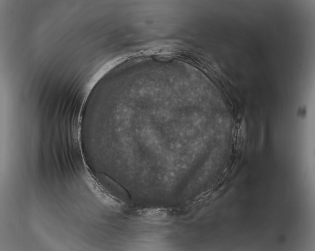 X0000116100100200912141006