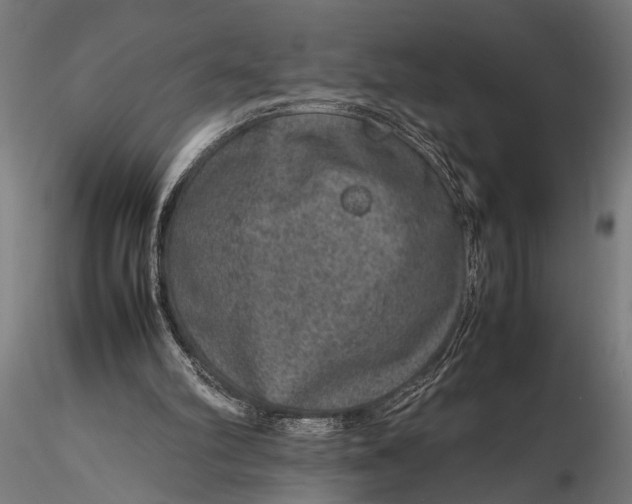 X0000116100102200912141006