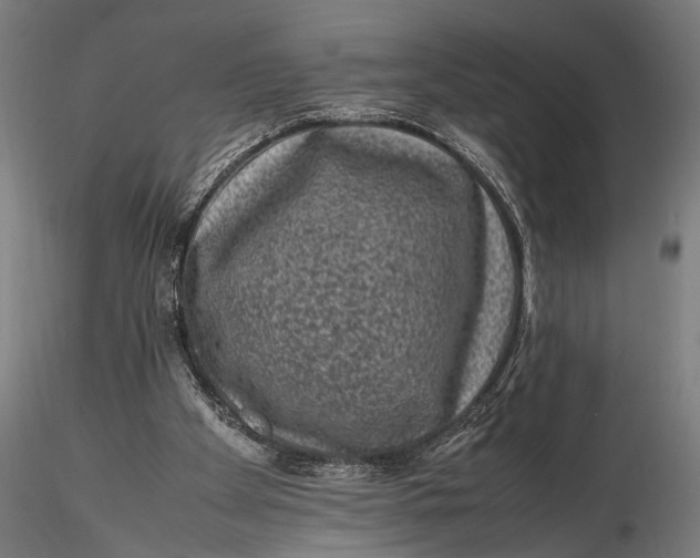 X0000116100105200912141006