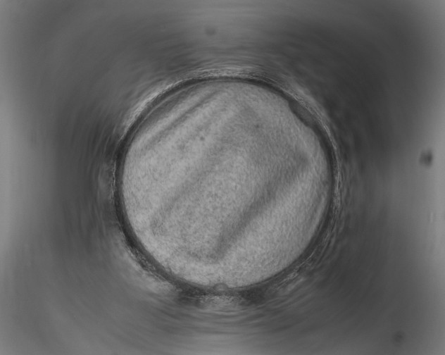 X0000116100107200912141006