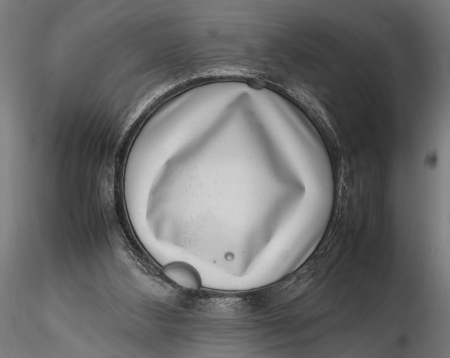 X0000116100108200912141006