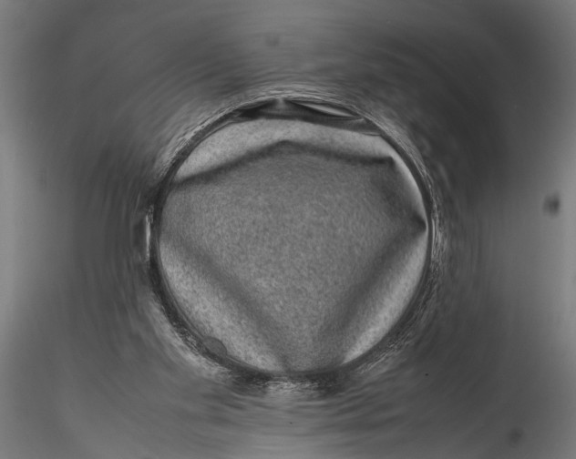 X0000116100109200912141006