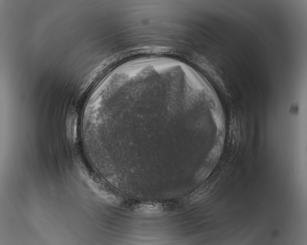 X0000116100110200912141006