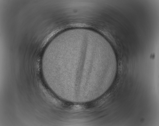 X0000116100111200912141006