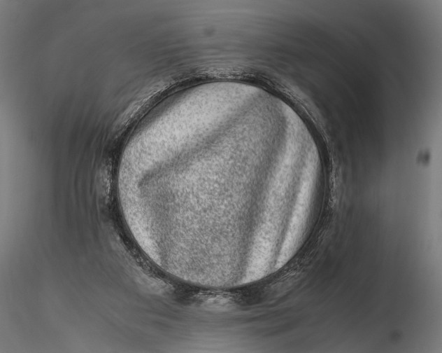 X0000116100113200912141006