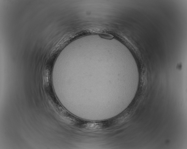 X0000116100117200912141006