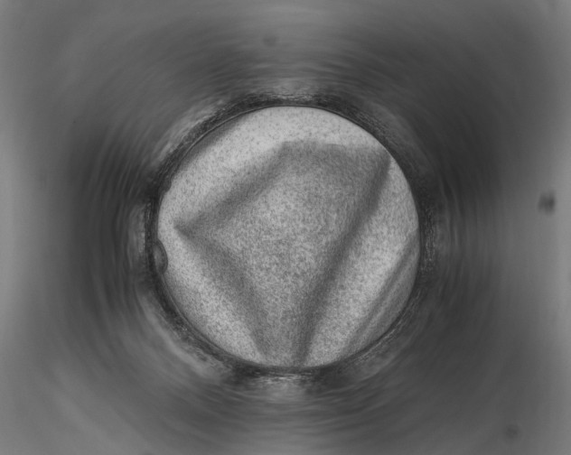 X0000116100120200912141005