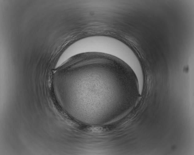 X0000116100121200912141005