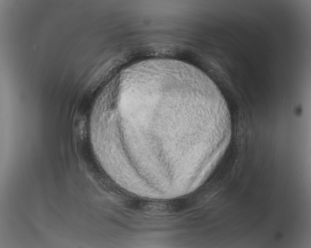 X0000116100123200912141005