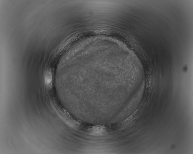 X0000116100124200912141005