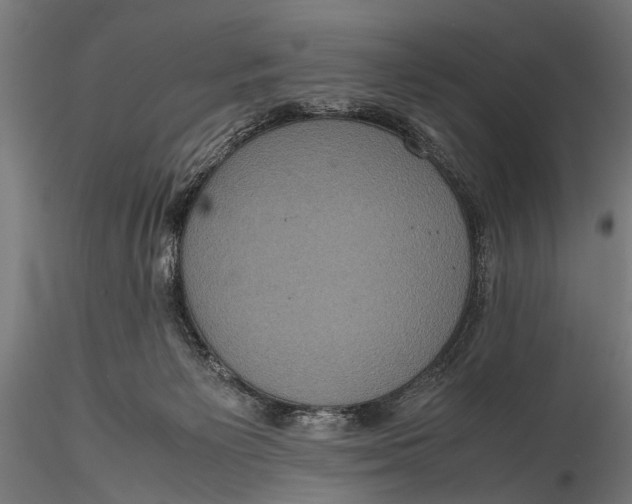 X0000116100125200912141005