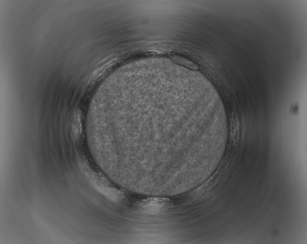 X0000116100128200912141005