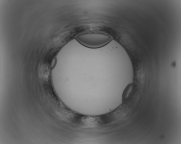 X0000116100129200912141005