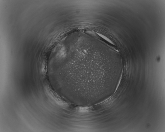 X0000116100134200912141005