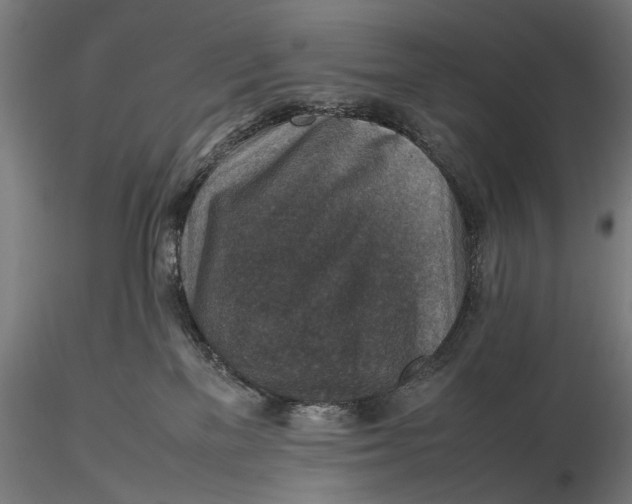 X0000116100137200912141005