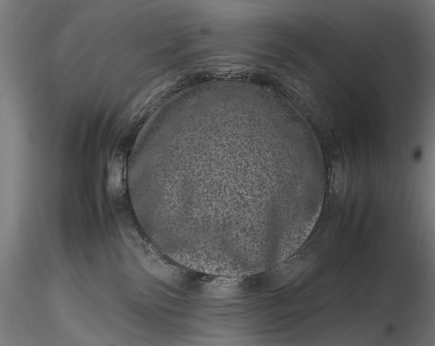 X0000116100138200912141005