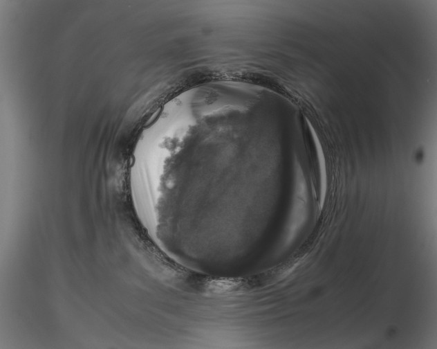 X0000116100139200912141005