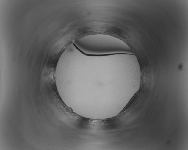 X0000116100141200912141005