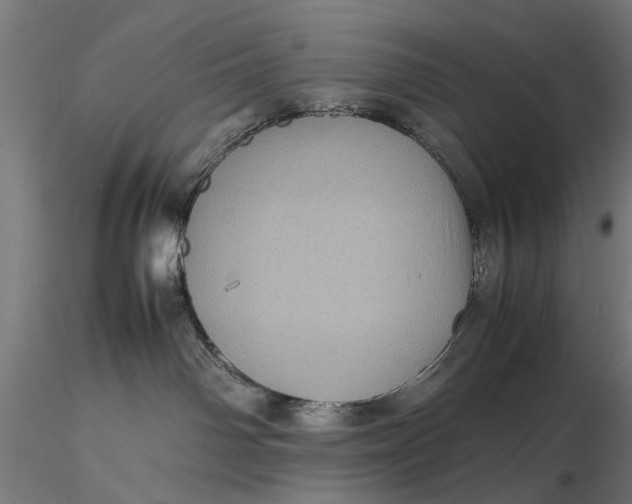 X0000116100142200912141005