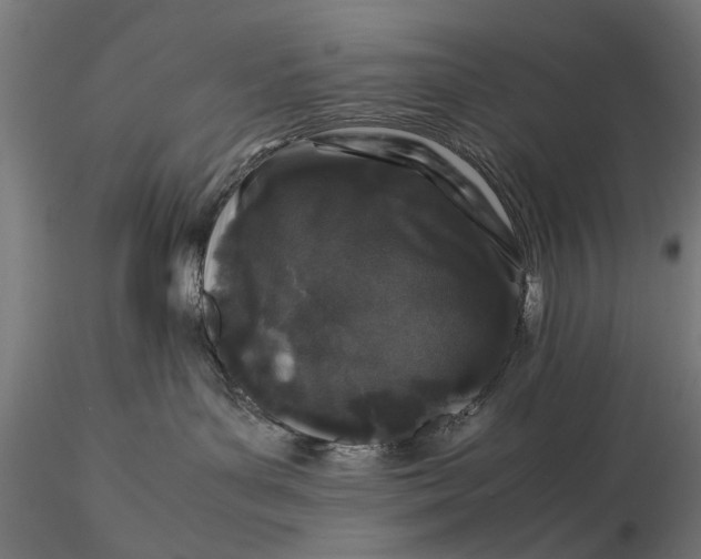 X0000116100143200912141005