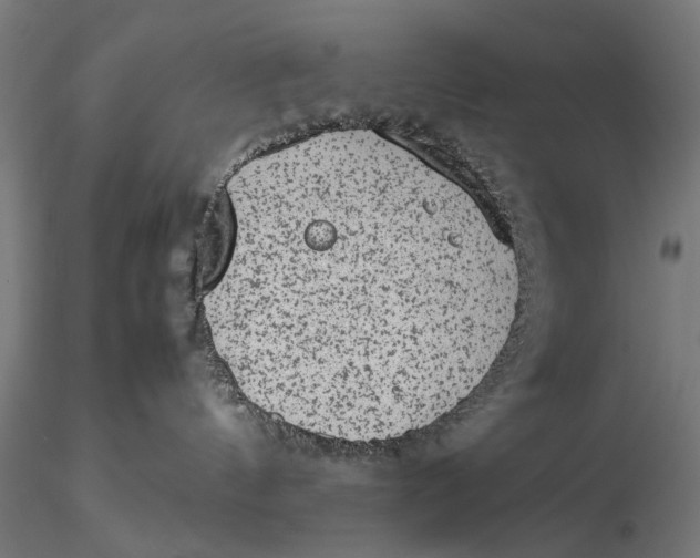 X0000116100144200912141005