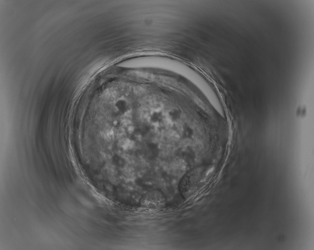 X0000116100145200912141004