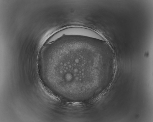 X0000116100151200912141005