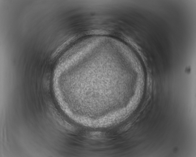 X0000116100153200912141005