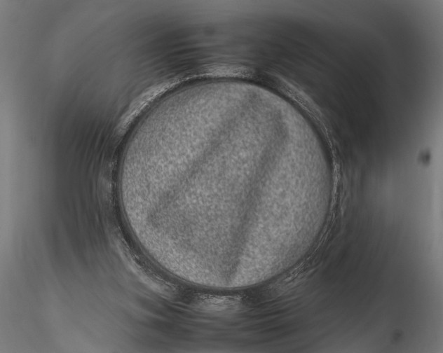 X0000116100155200912141005