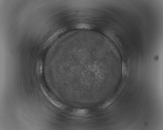 X0000116100157200912141005