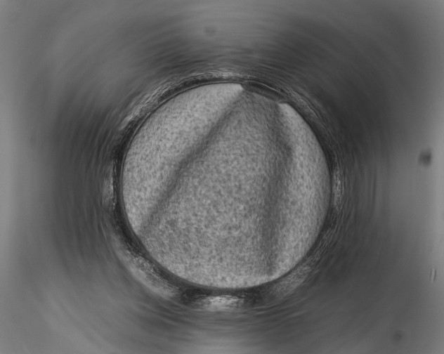 X0000116100158200912141005