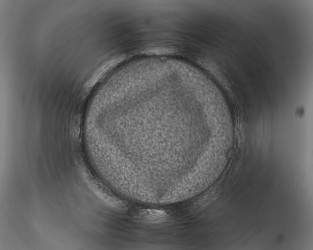 X0000116100159200912141005