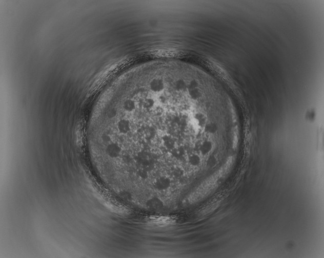 X0000116100161200912141005