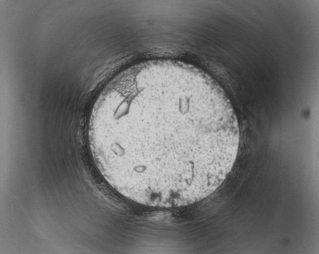 X0000116100162200912141005