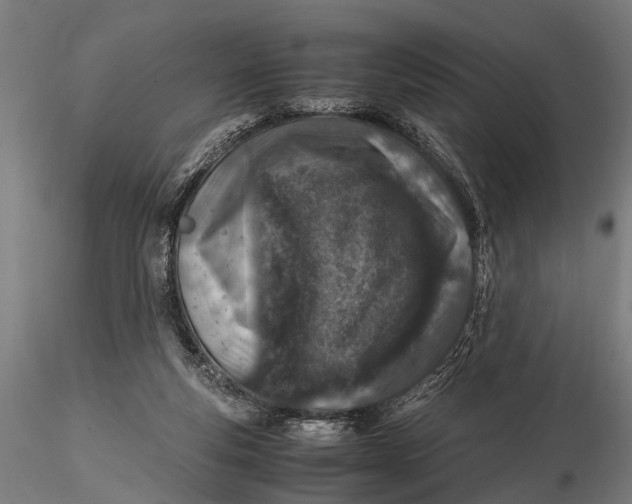 X0000116100163200912141005