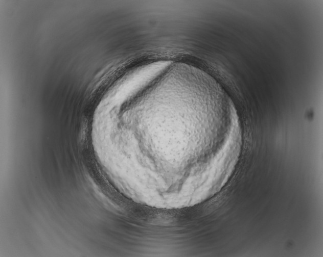 X0000116100166200912141005