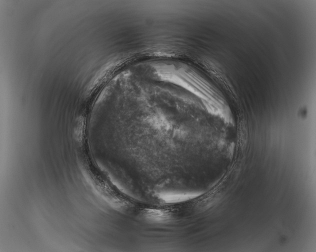 X0000116100167200912141005