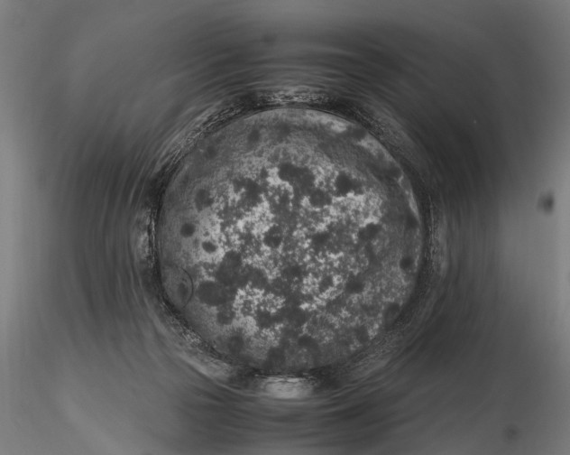 X0000116100169200912141005