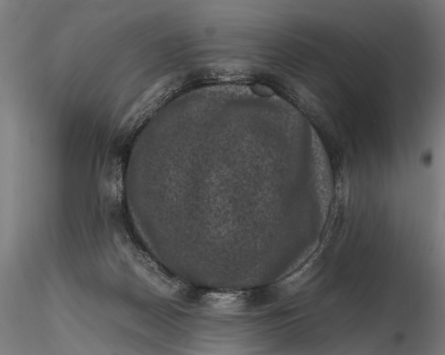 X0000116100170200912141005