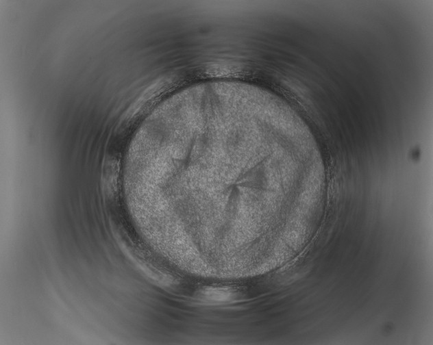 X0000116100171200912141005