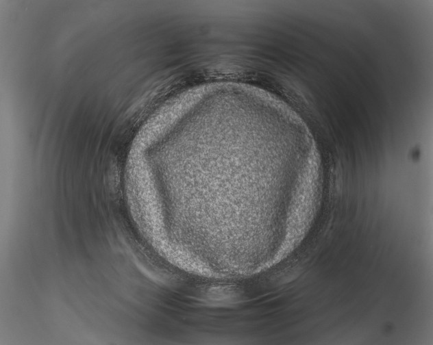 X0000116100173200912141005