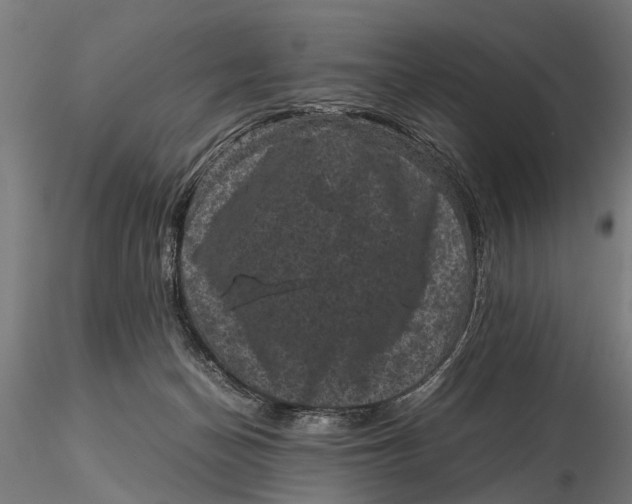 X0000116100174200912141005