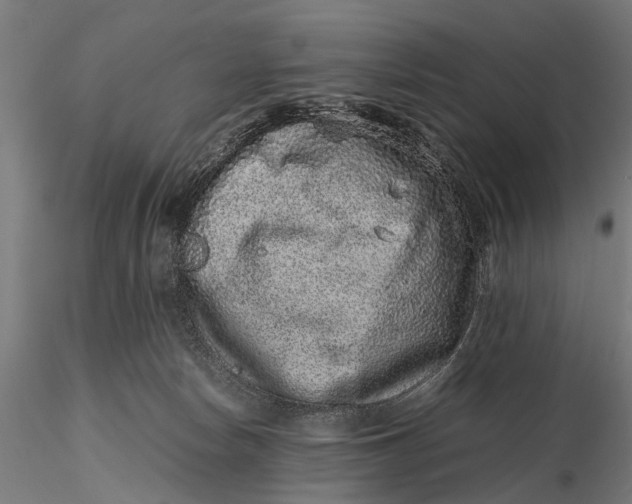 X0000116100178200912141005