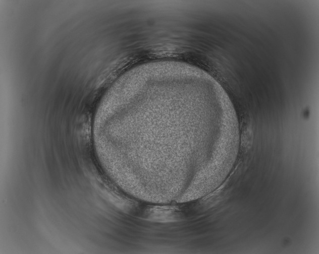 X0000116100179200912141005