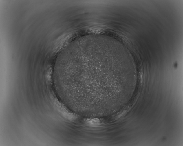 X0000116100181200912141005