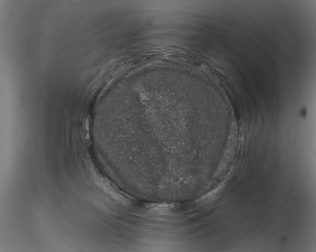 X0000116100182200912141005