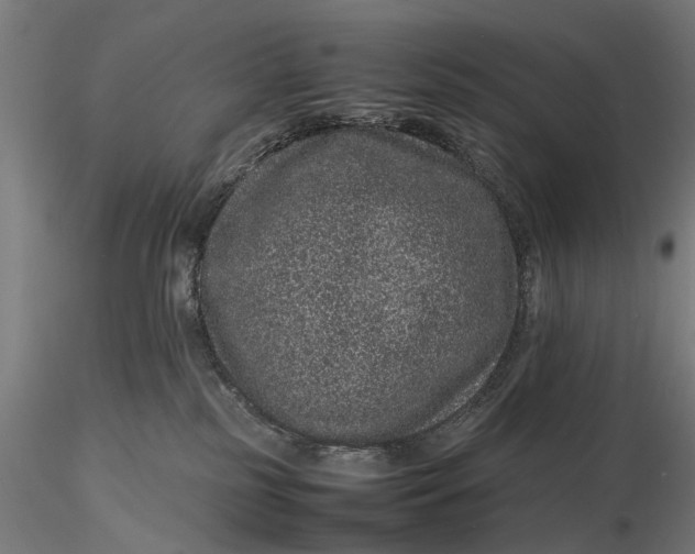 X0000116100185200912141005