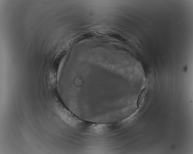 X0000116100186200912141005